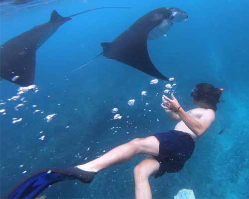 Snorkeling Nusa Penida by penidago