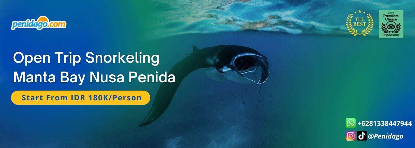 Snorkeling Manta Bay Nusa Penida by penidago